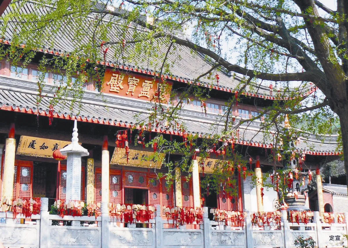 孫張清揚