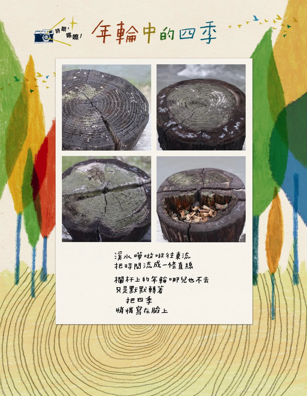 詩眼，喀嚓！ 年輪中的四季