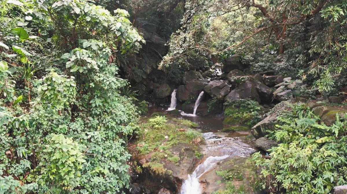 城市散步 山溪