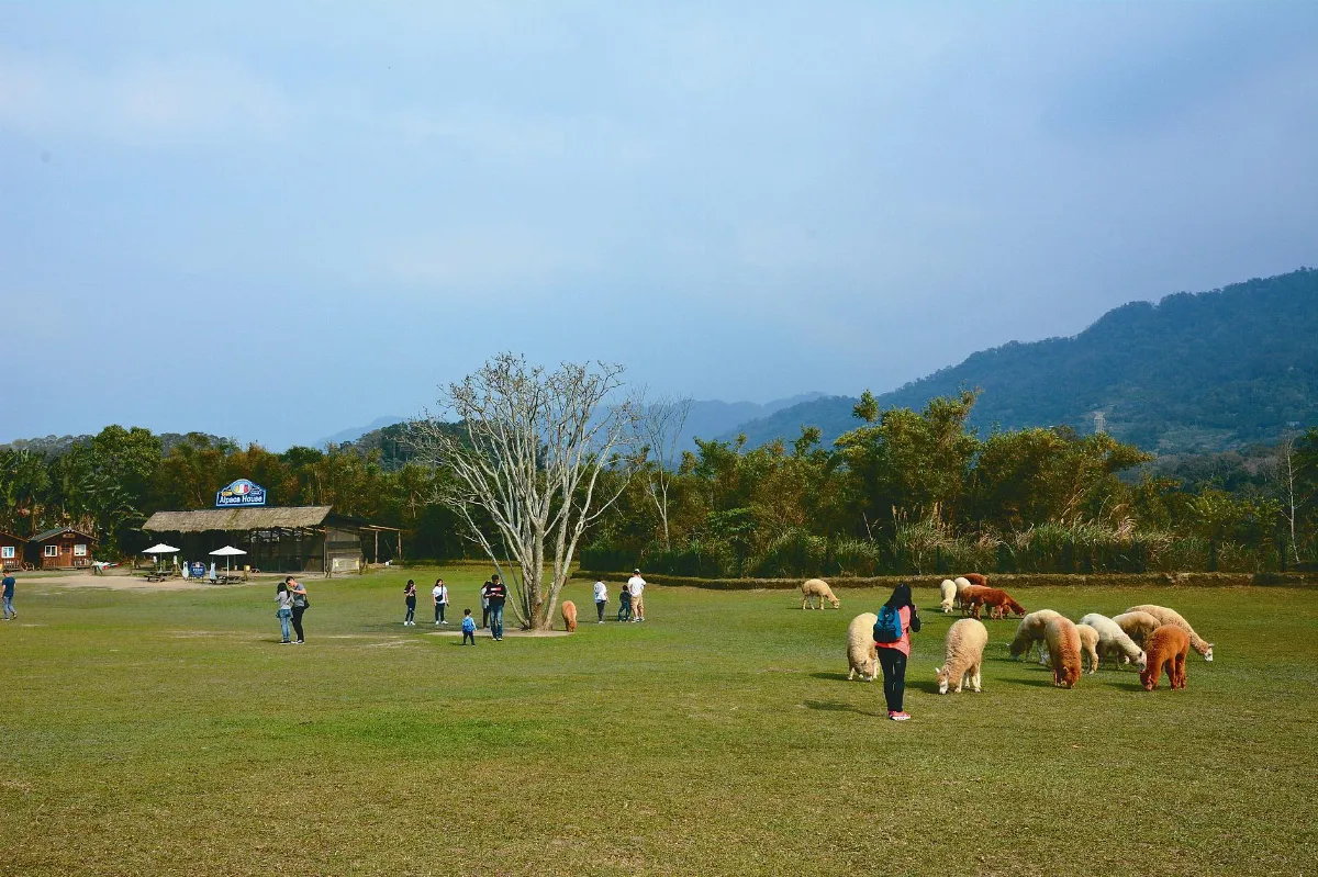 獸醫扮推手 打造鳥類聯合國