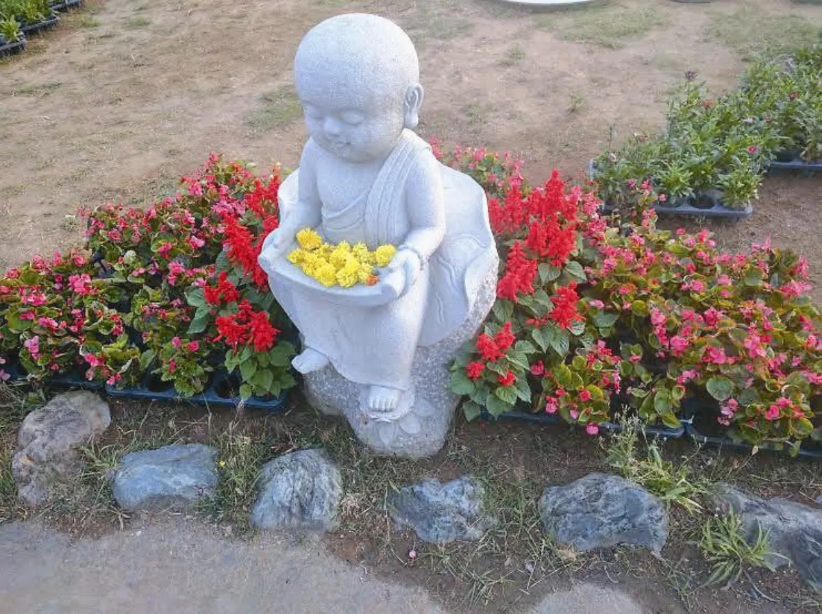 生活快門  歡喜小沙彌