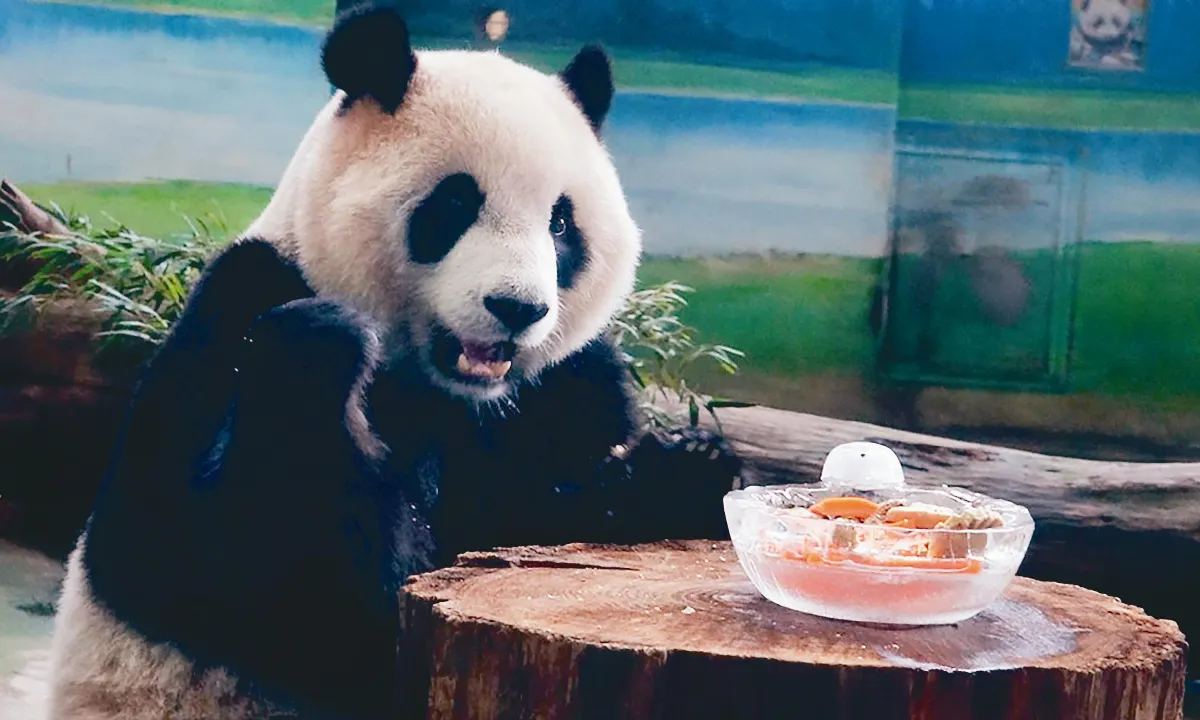 吃大餐、玩福袋 動物們歡度春節