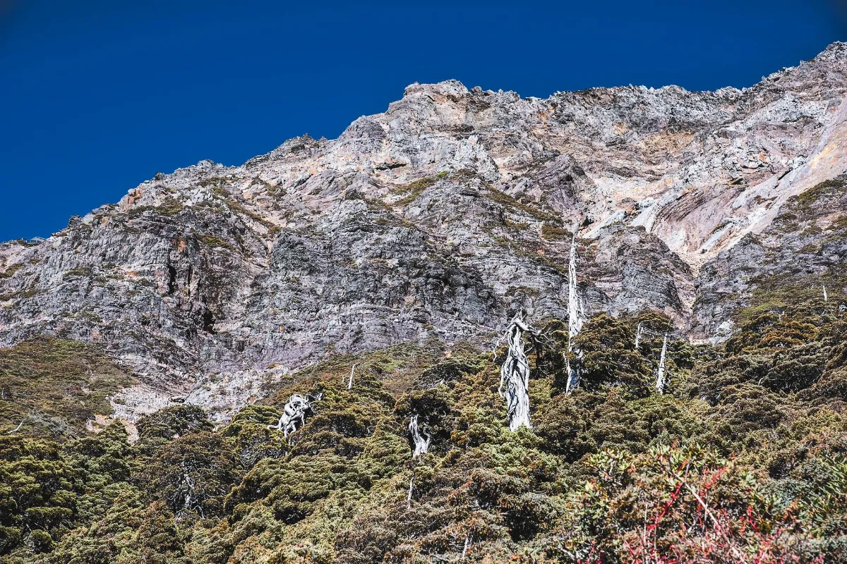 台灣好美 高山篇  東北亞之最 玉山主峰下