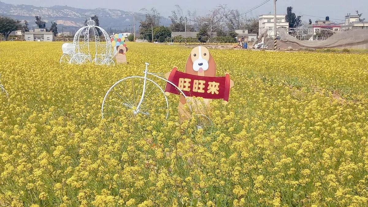 裝置藝術滿金門 評價兩極化