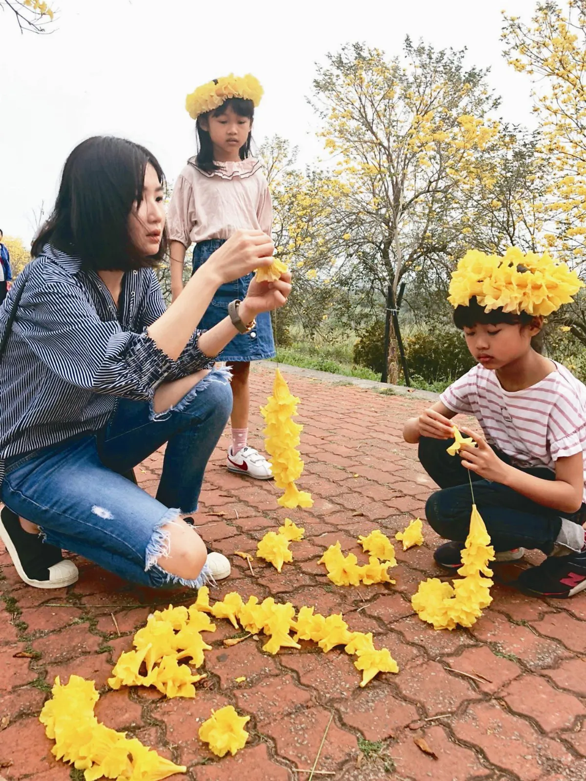 黃花風鈴木正豔