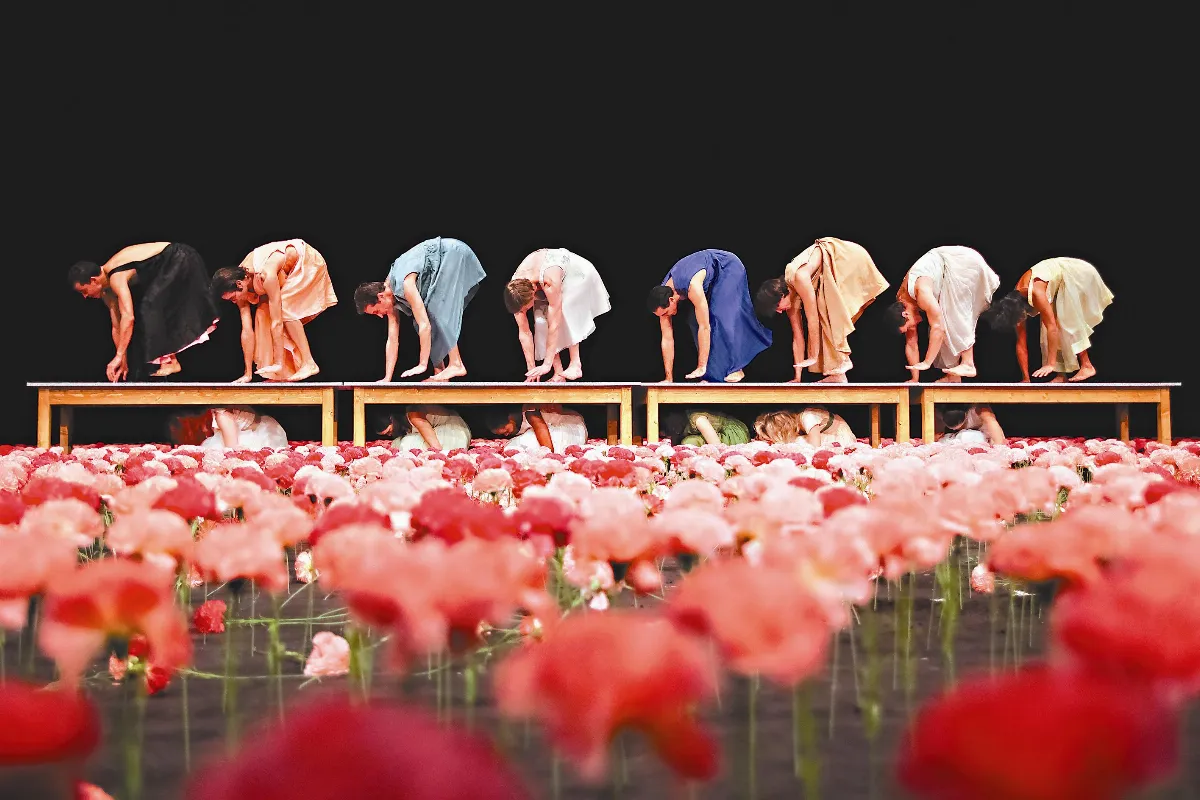 重現經典 8千朵康乃馨綻放舞台