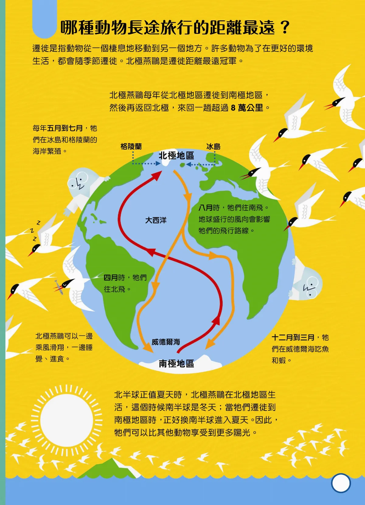 小小科學人 哪種動物長途旅行的距離最遠？