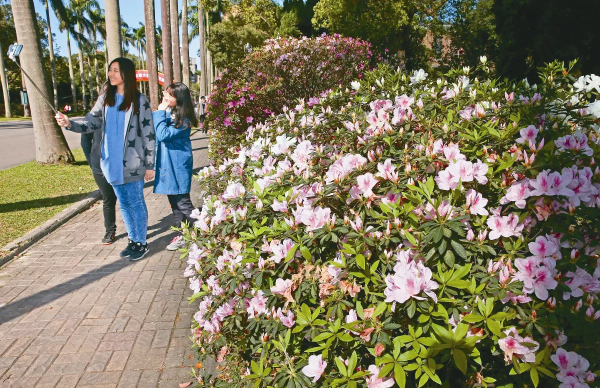 杜鵑花節登場 花車抗議卡管