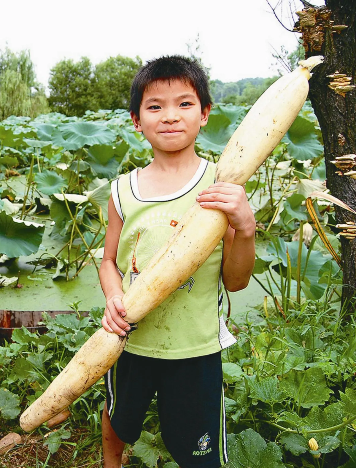 【行走人間】 梅城雪湖貢藕