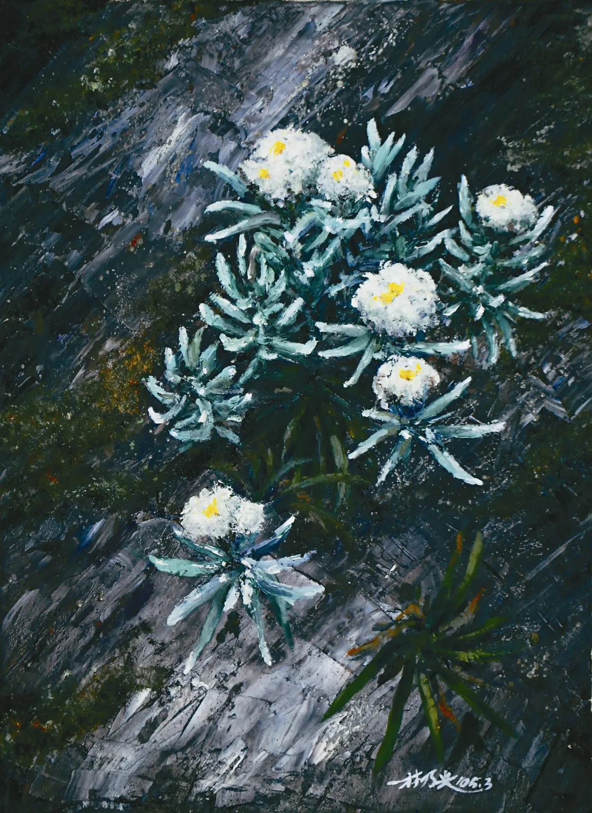 浮世畫框 就是要開花（4）