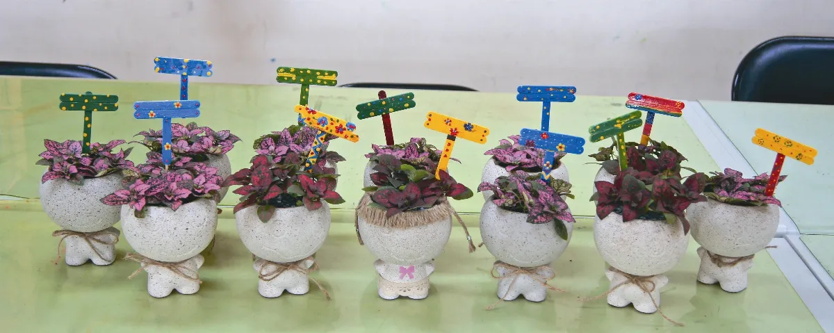 【愛植栽】綠色療癒
