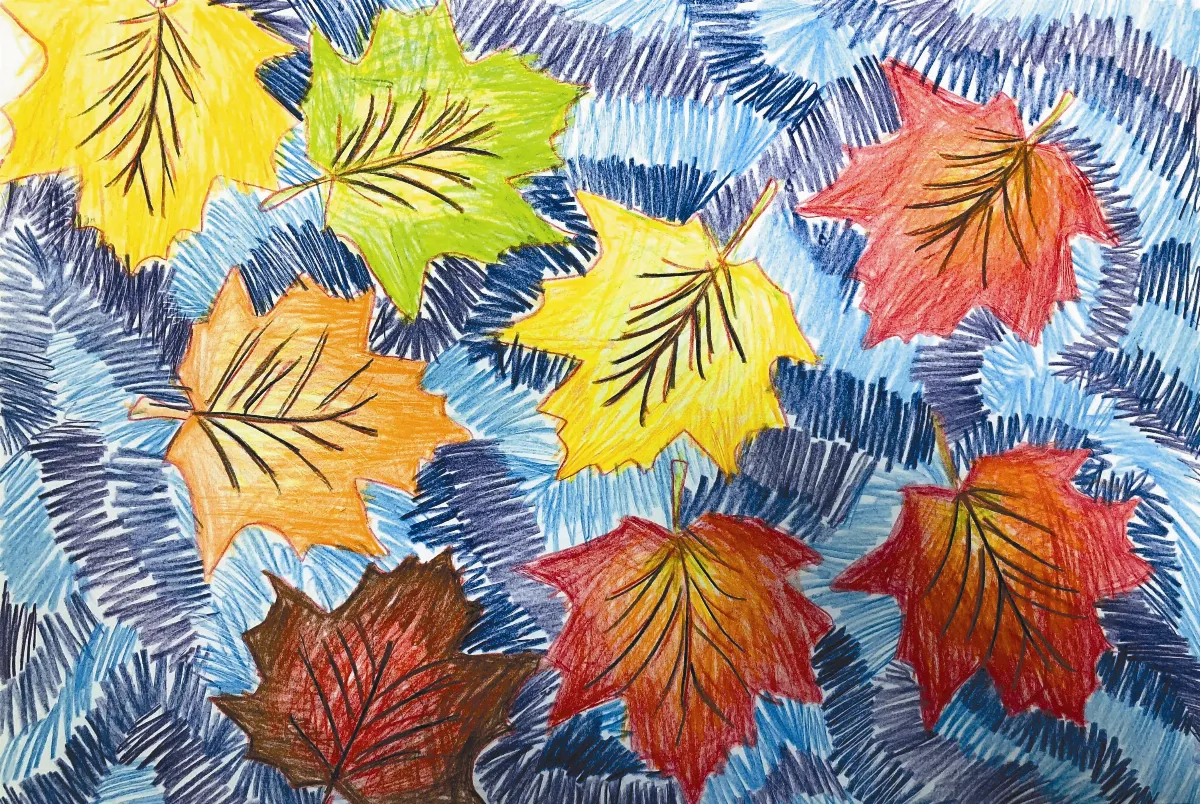 快樂塗鴉 簿   楓  葉