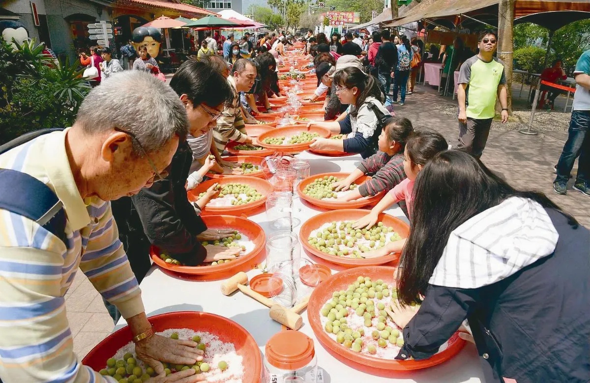 旺見梅好 千人共製梅