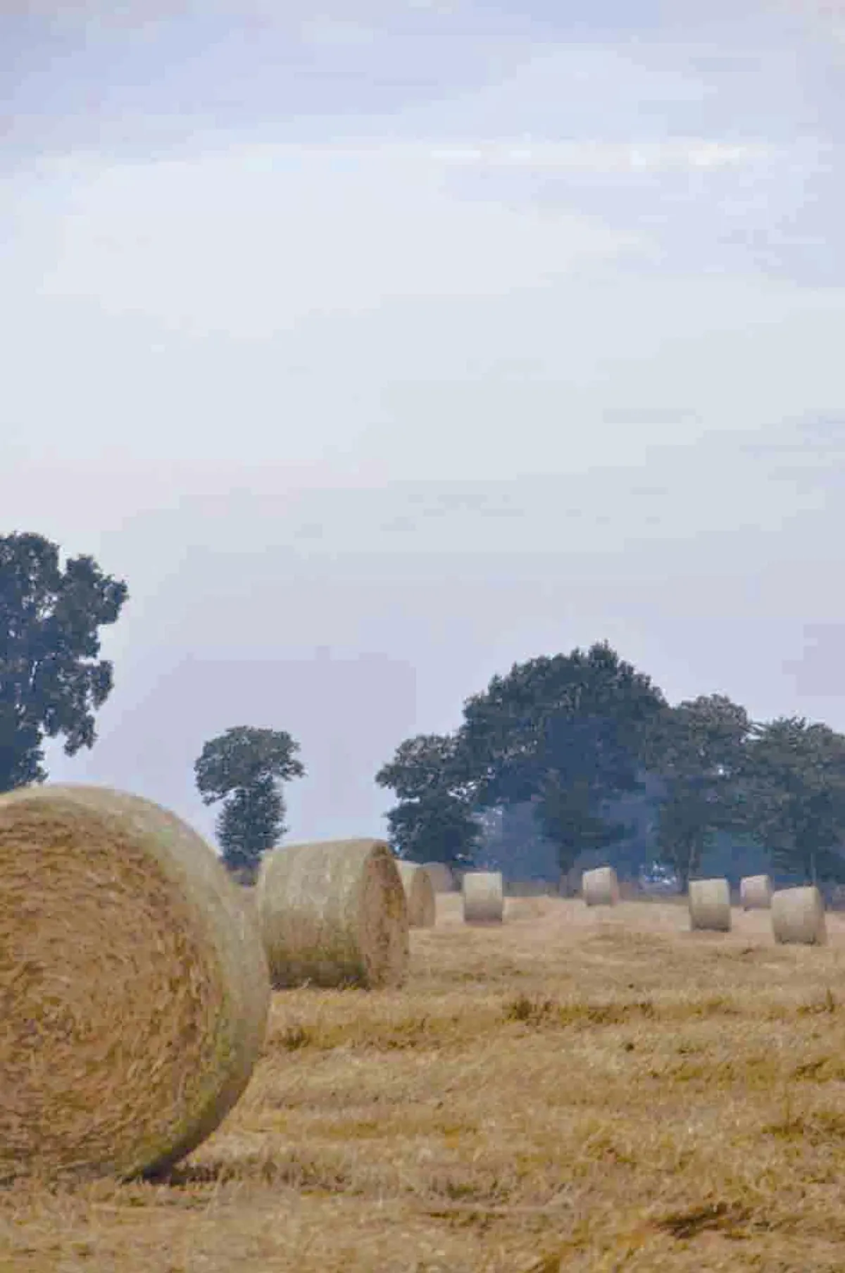 人生風景 收藏