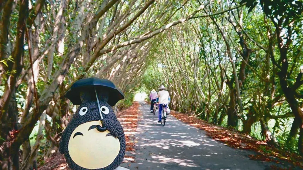 單車新祕境 來找龍貓玩