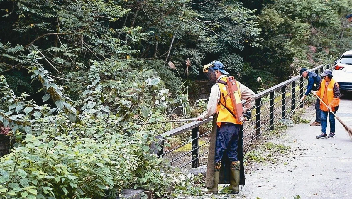 聰明雜草管理學…組割草大隊