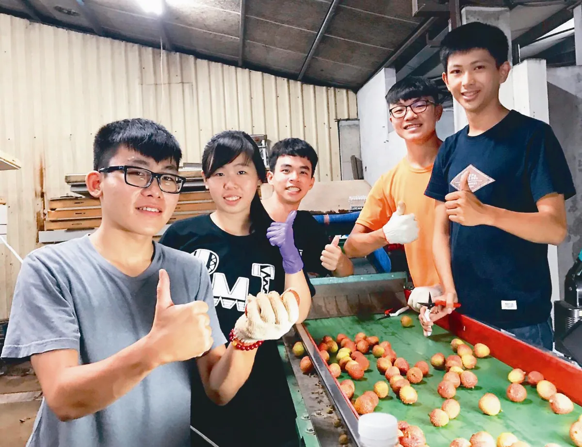 支援農村 大學生成果園生力軍