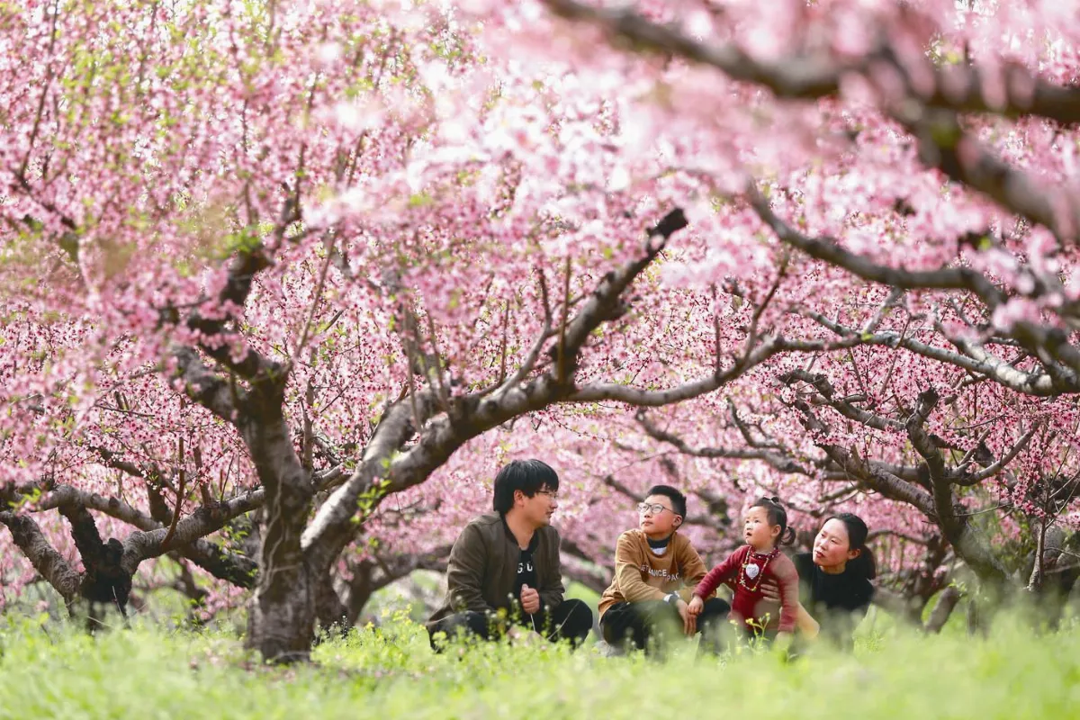 古人也有清明連假 休4天