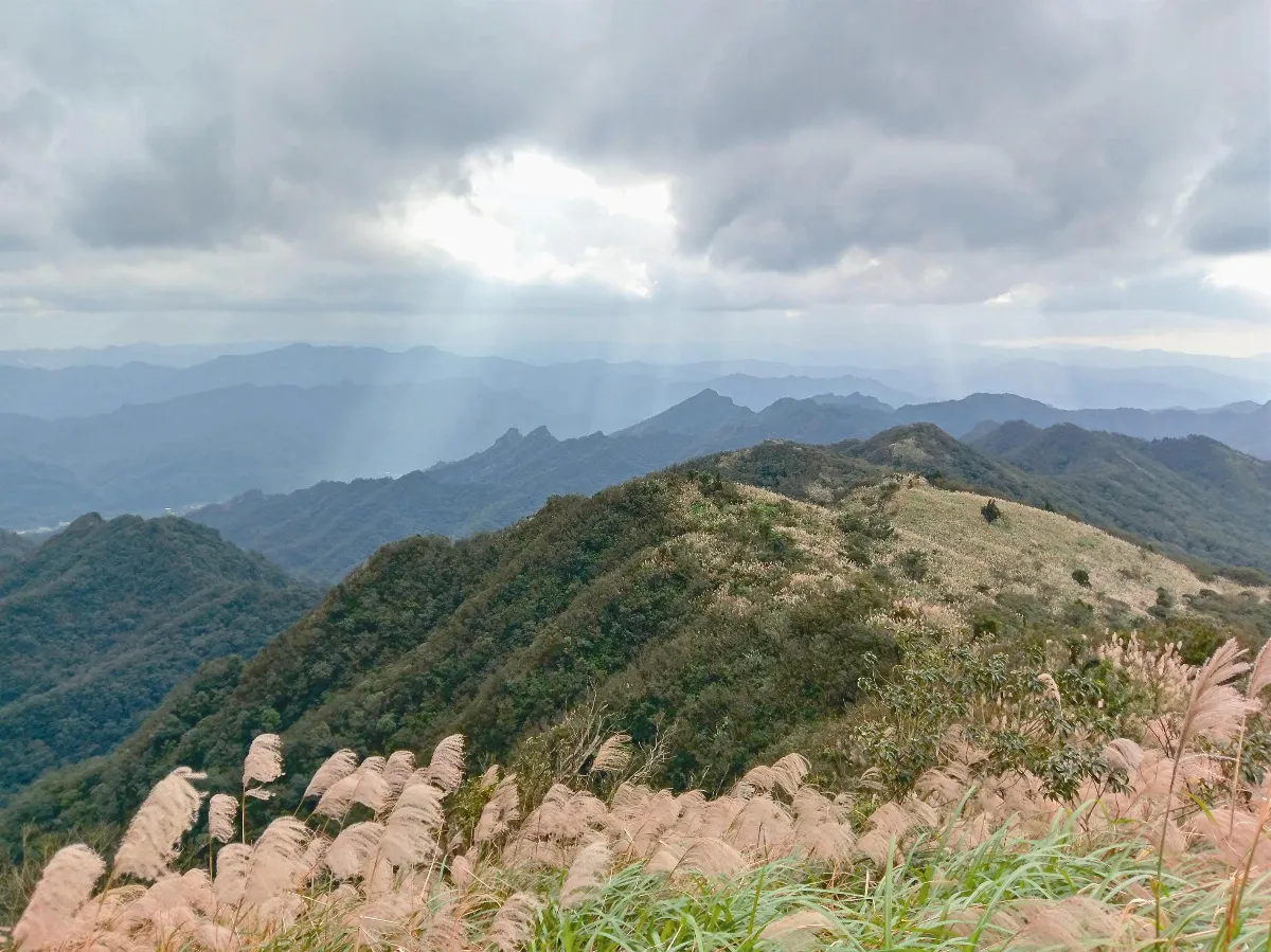 【大江南北】 姜子寮山記行
