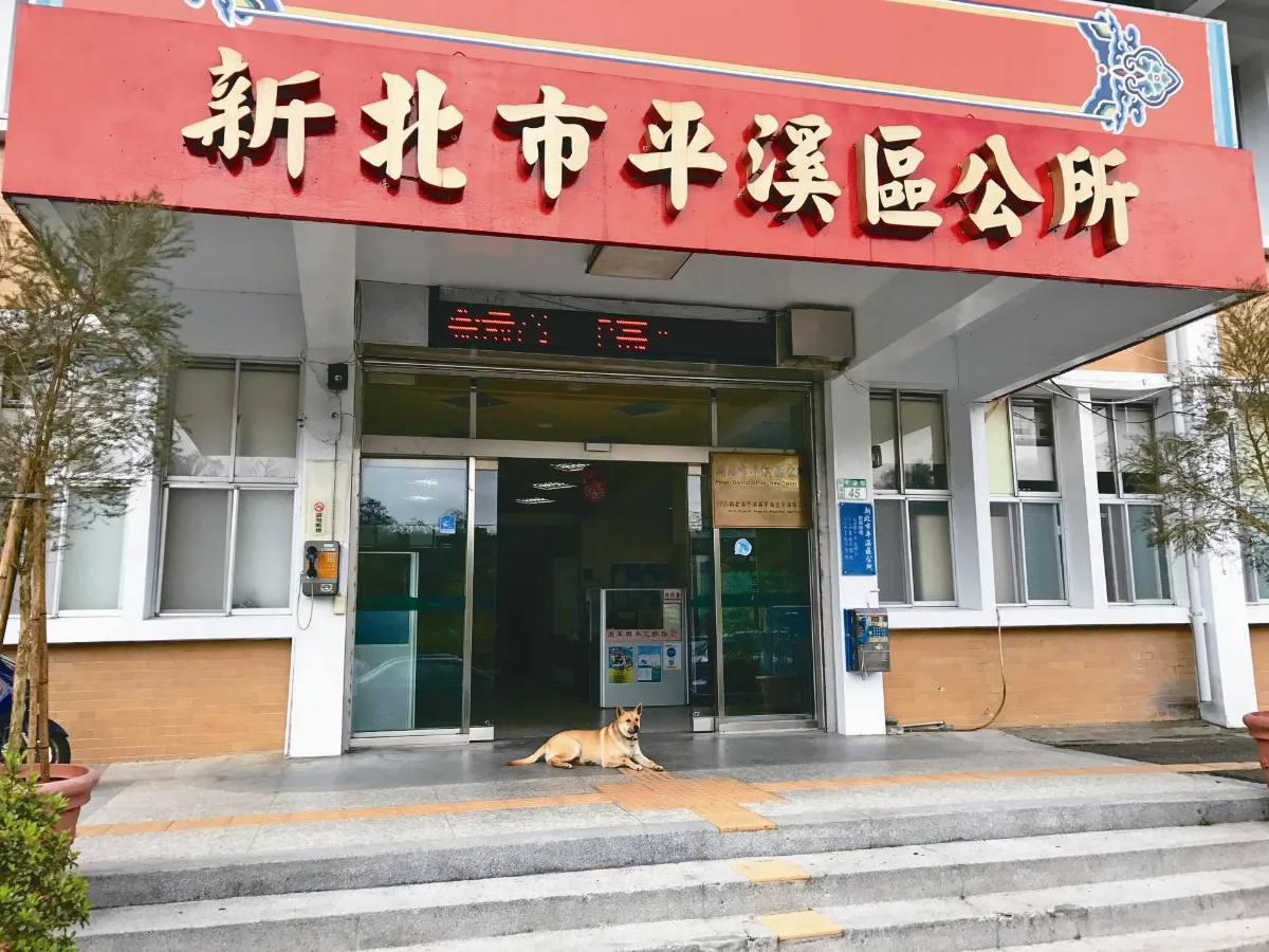 牠是區公所公關 專長：握手