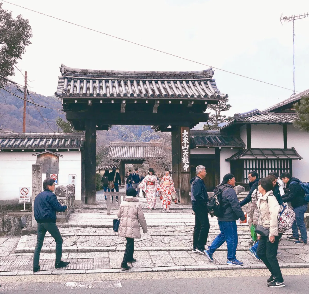 遨遊藝事 京都天龍寺