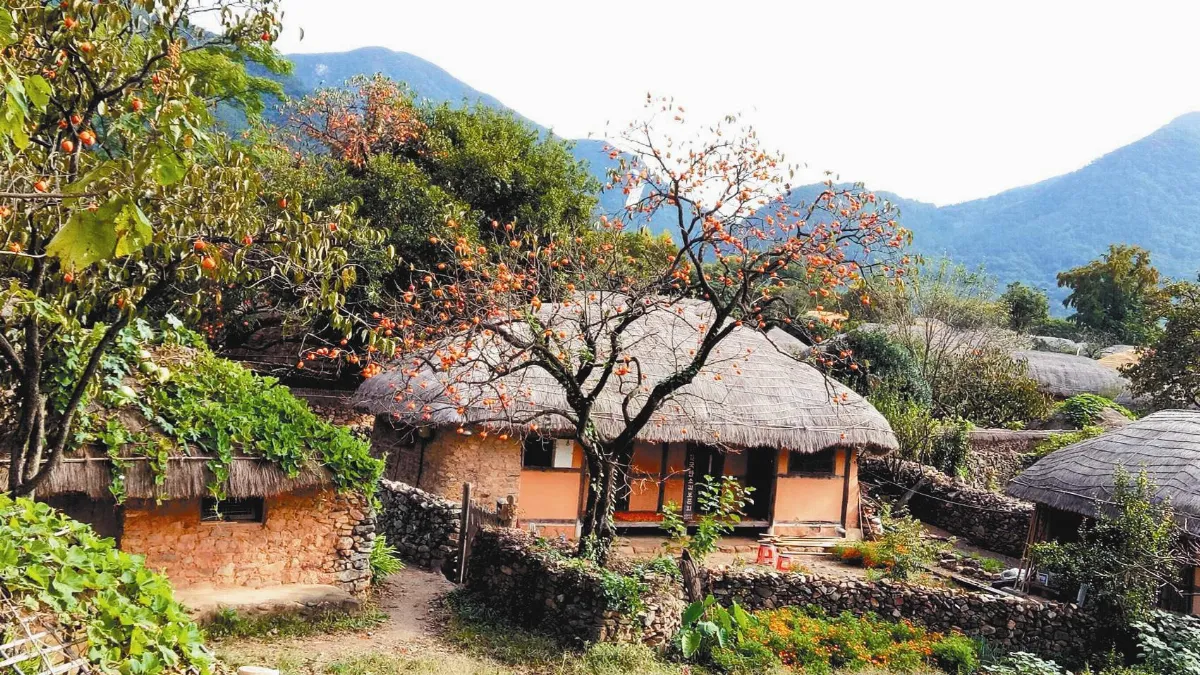 文化藝術村