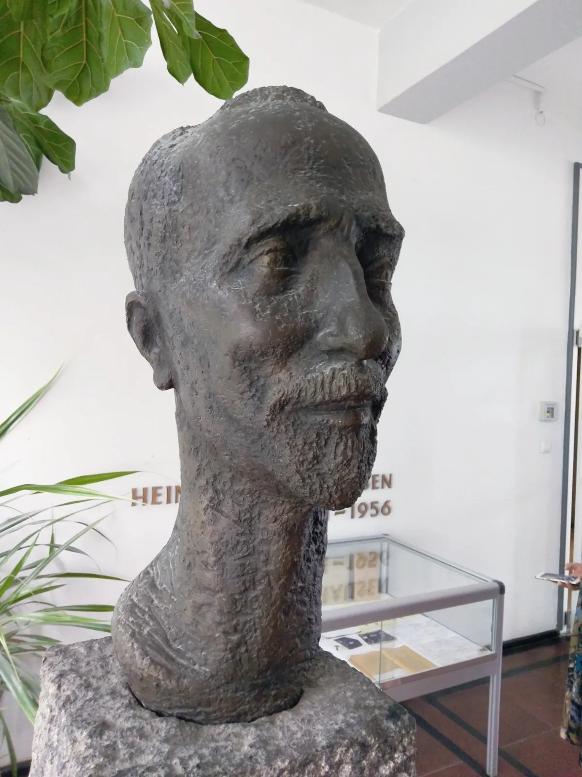 閃文集  巴豪森與八木