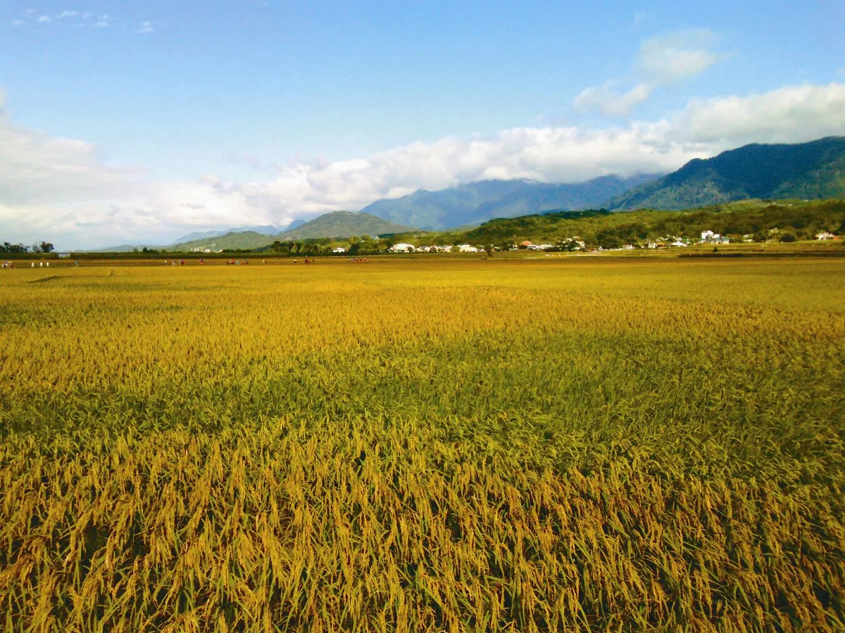 蔣勳：美  是看不見的競爭力！