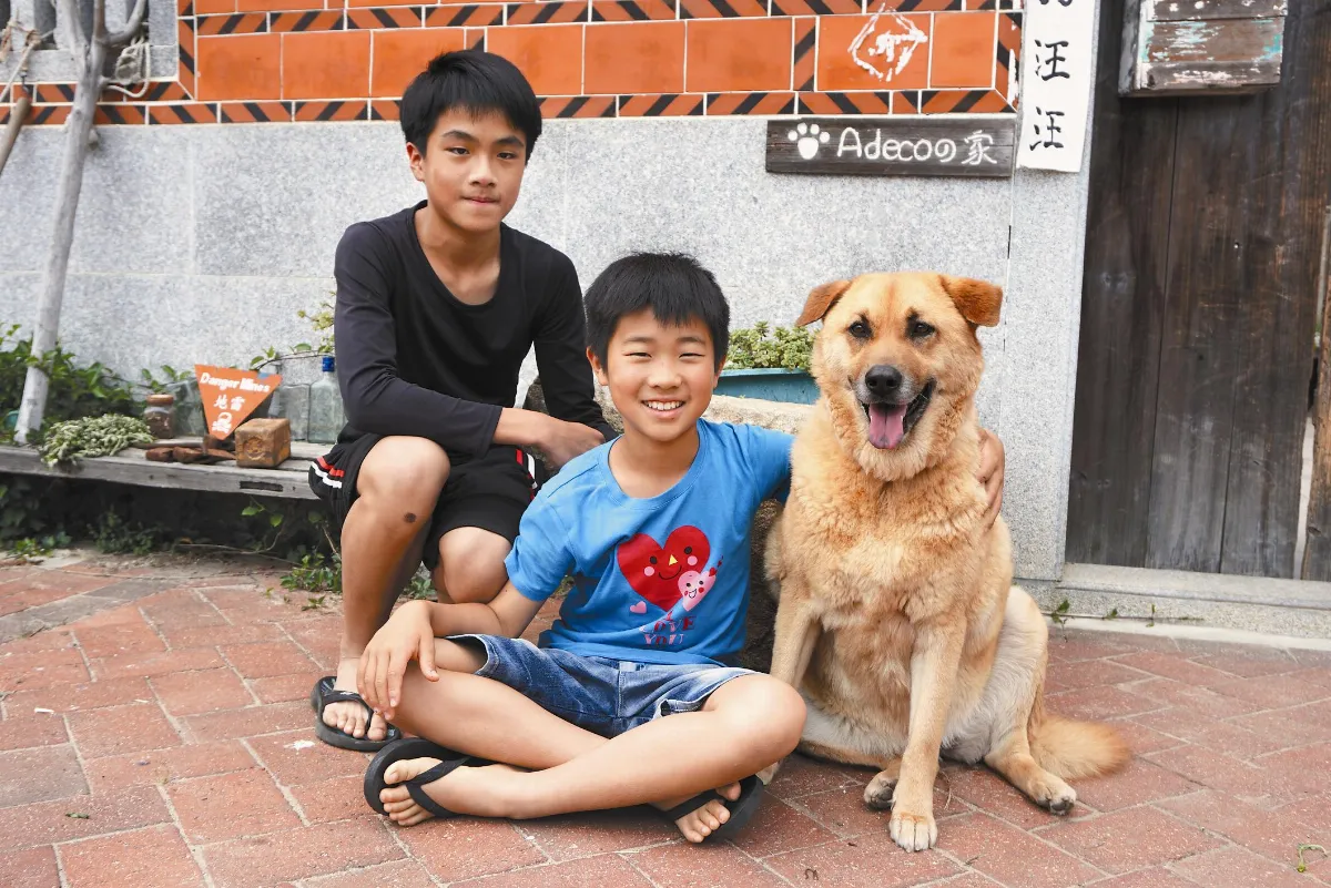 狗畢業生 7年來陪主人上學