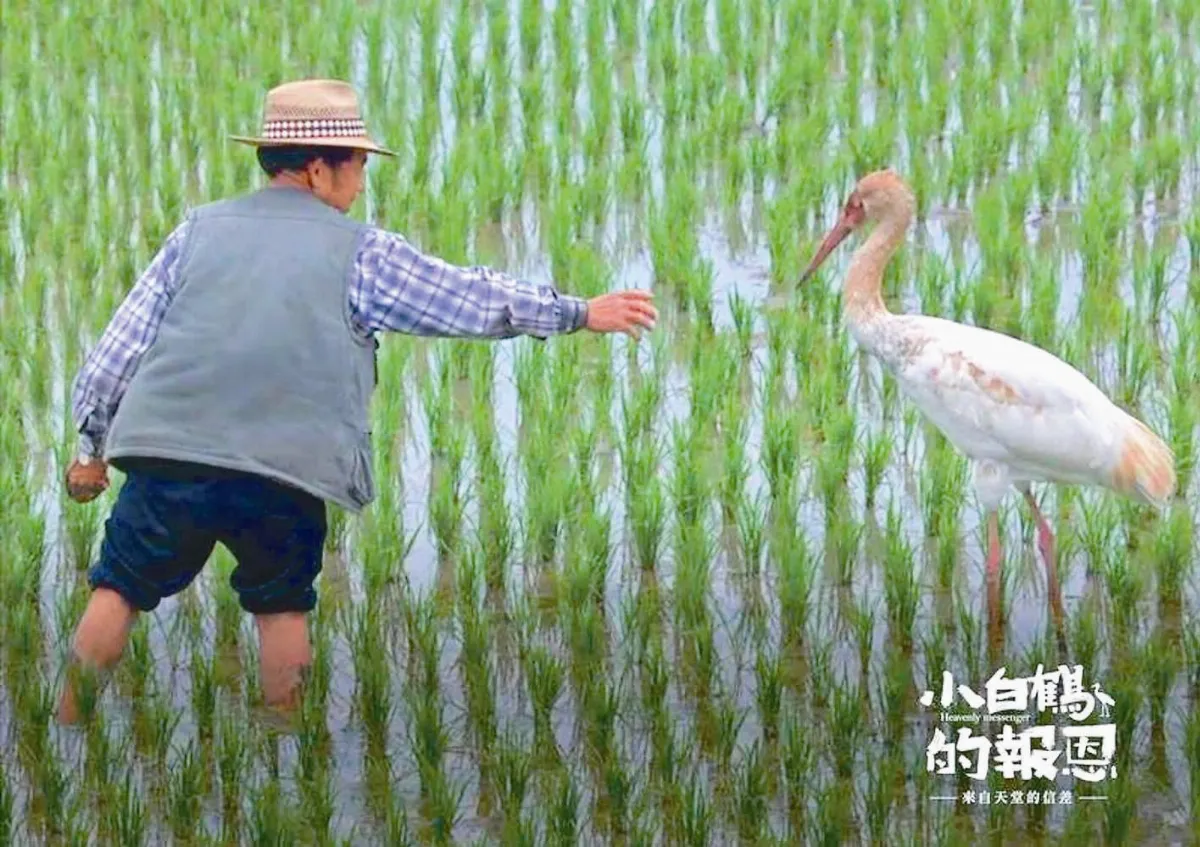 傻瓜兒子 陪媽媽拍鳥