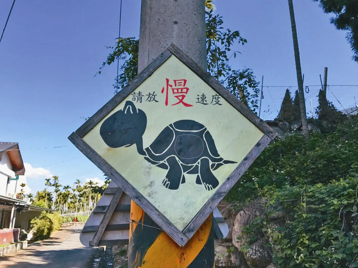 生活快門  把自己當烏龜