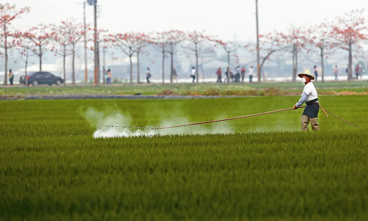 農保資格放寬 實耕者、蜂農納保