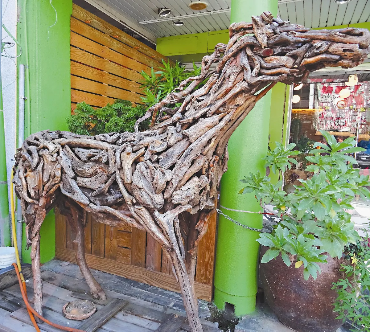 生活快門  可愛的木馬
