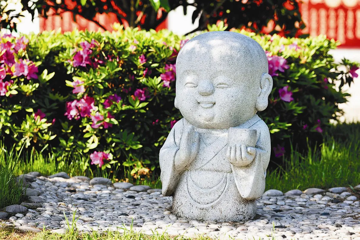 【佛陀本緣故事】  求法植福當取其德 不應簡擇年齡尊卑
