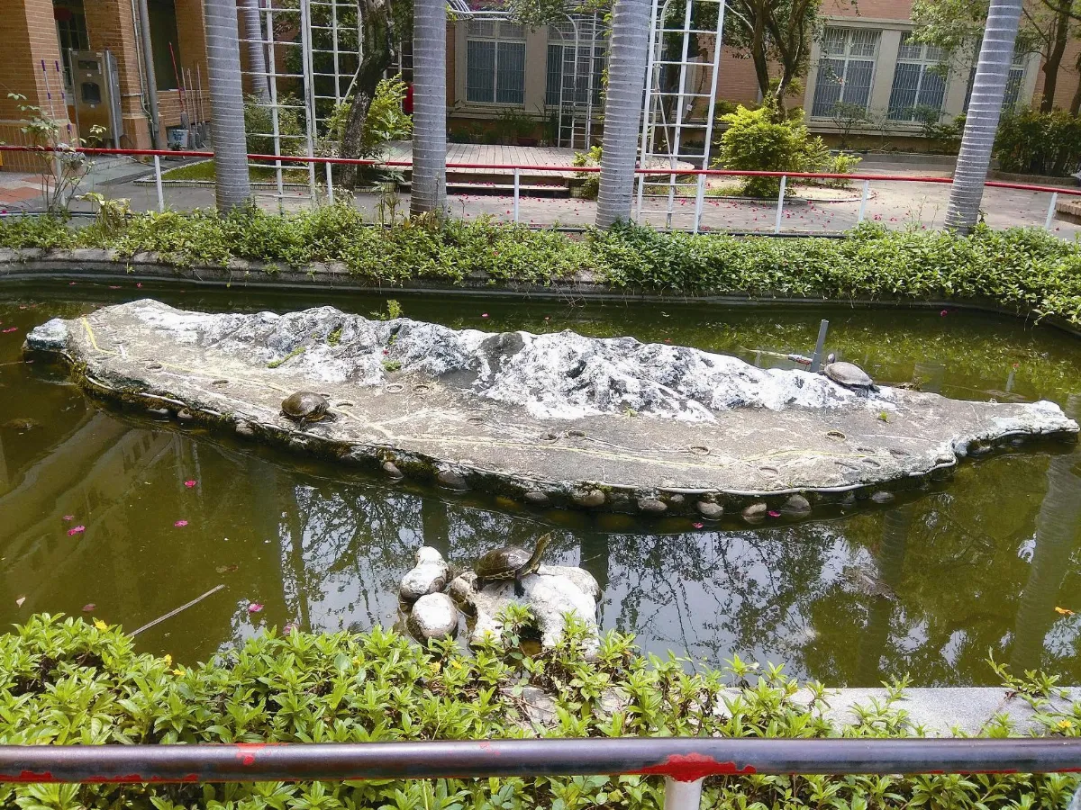 【島嶼拼圖】  台灣島水池