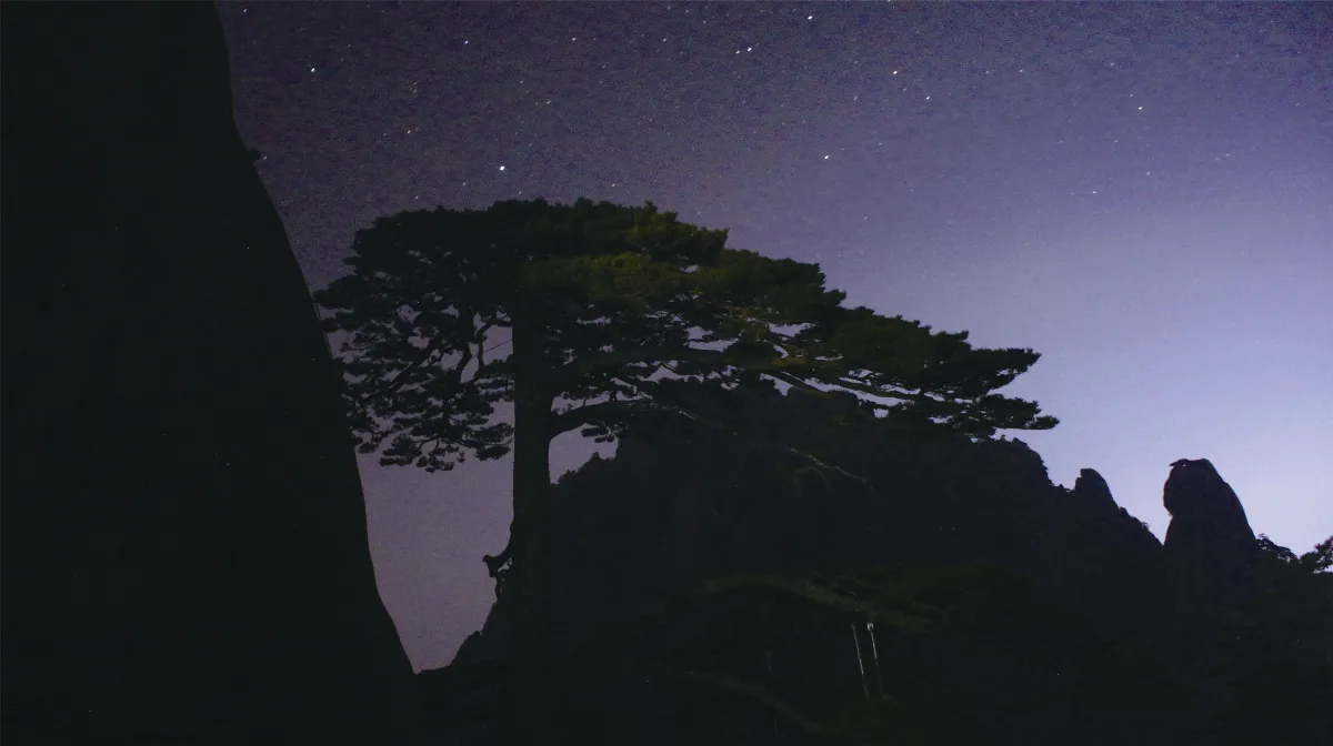 天地大美 星光迎客