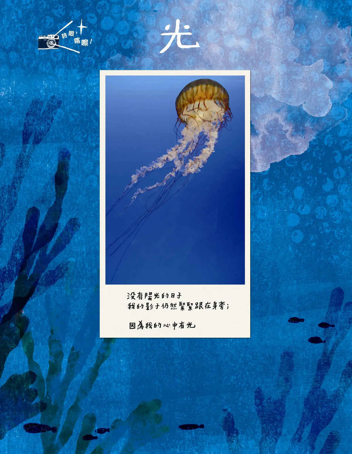 詩眼，喀嚓     光