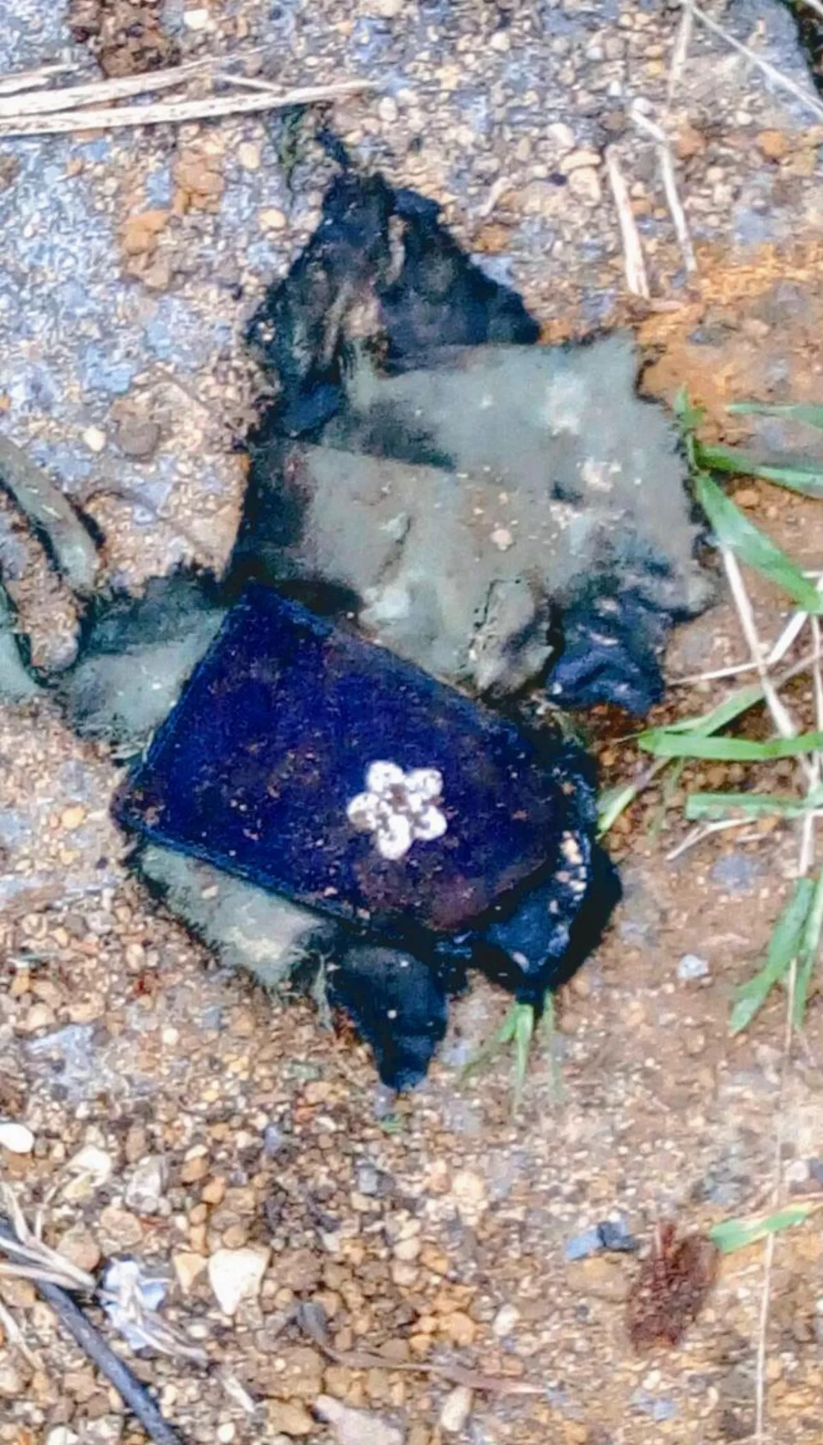 F-16失事 吳彥霆殉職