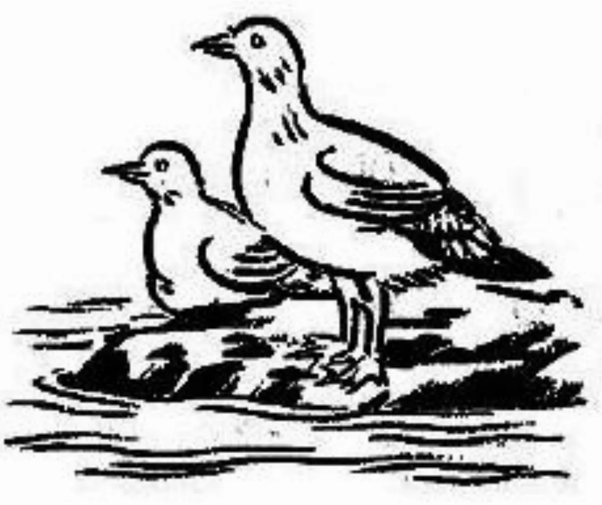 【豐子愷．護生畫集】  雨餘春水滿