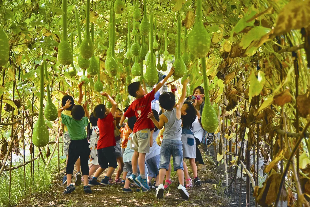 三星瓜果隧道 為米香節暖身