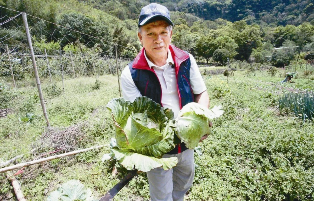 暖老闆每周奔波280公里 張羅國小午餐