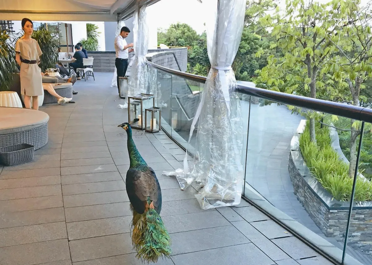 川金會地點敲定 在嘉佩樂酒店舉行