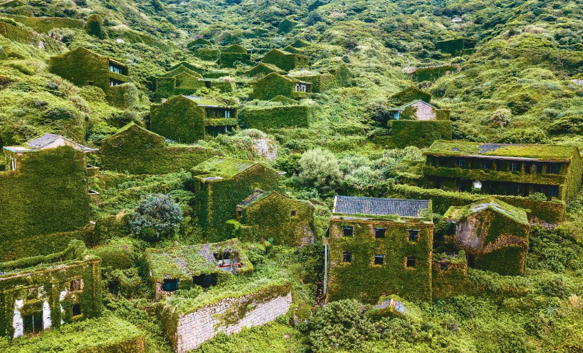 後頭灣 植被封村