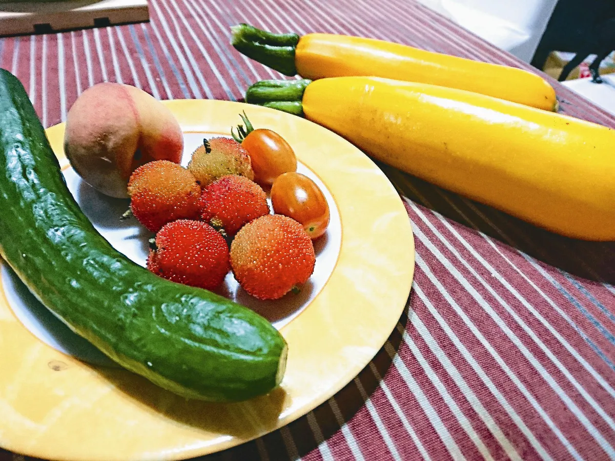 【台灣拼圖】俗諺談當令蔬食