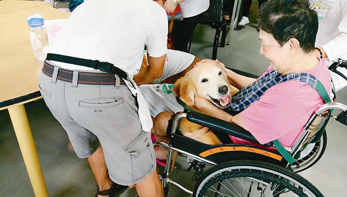 狗醫師不開藥方 病患樂開懷