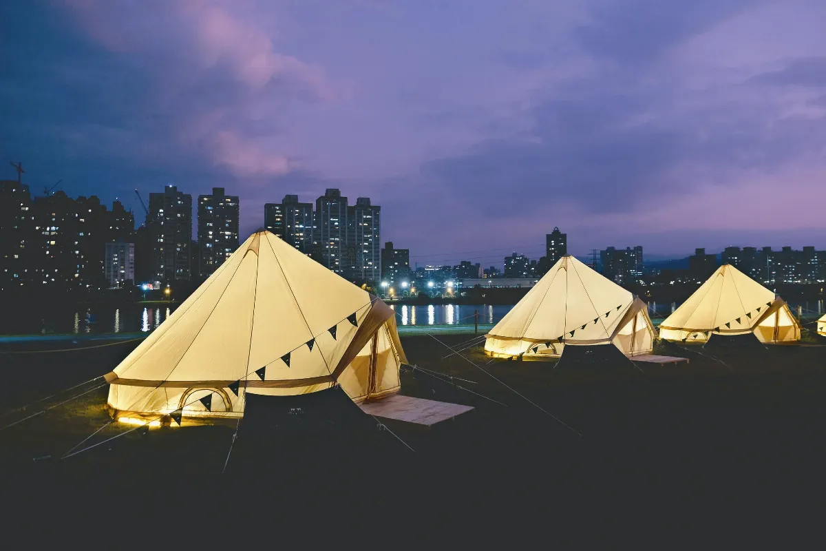 人類影響無所不在   動物改過夜生活