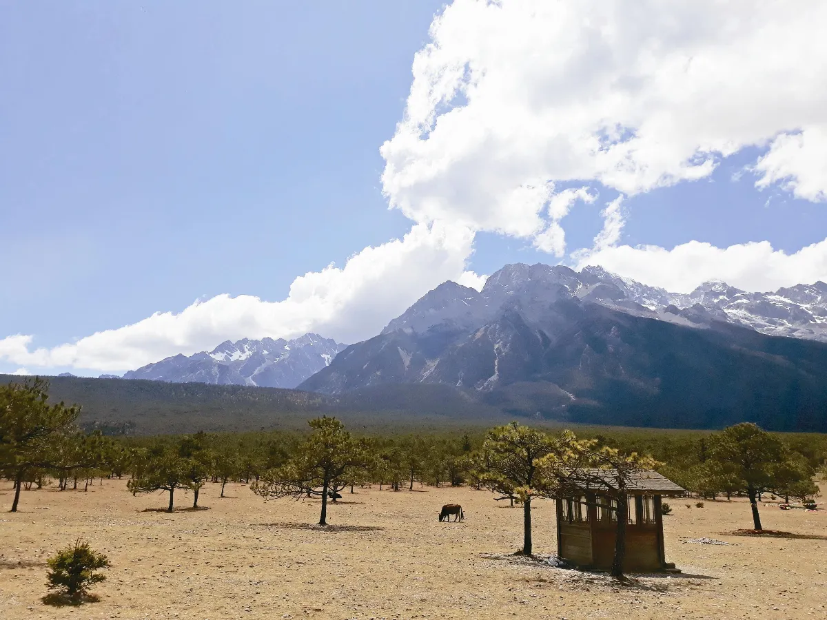 海闊天空 印象 雲南