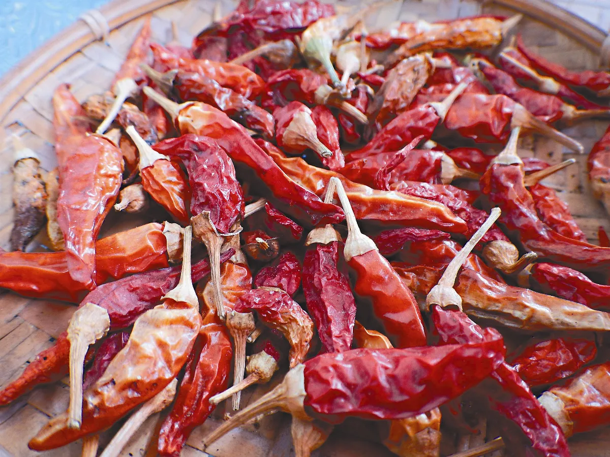 記憶的味道 聞不到的辣椒香