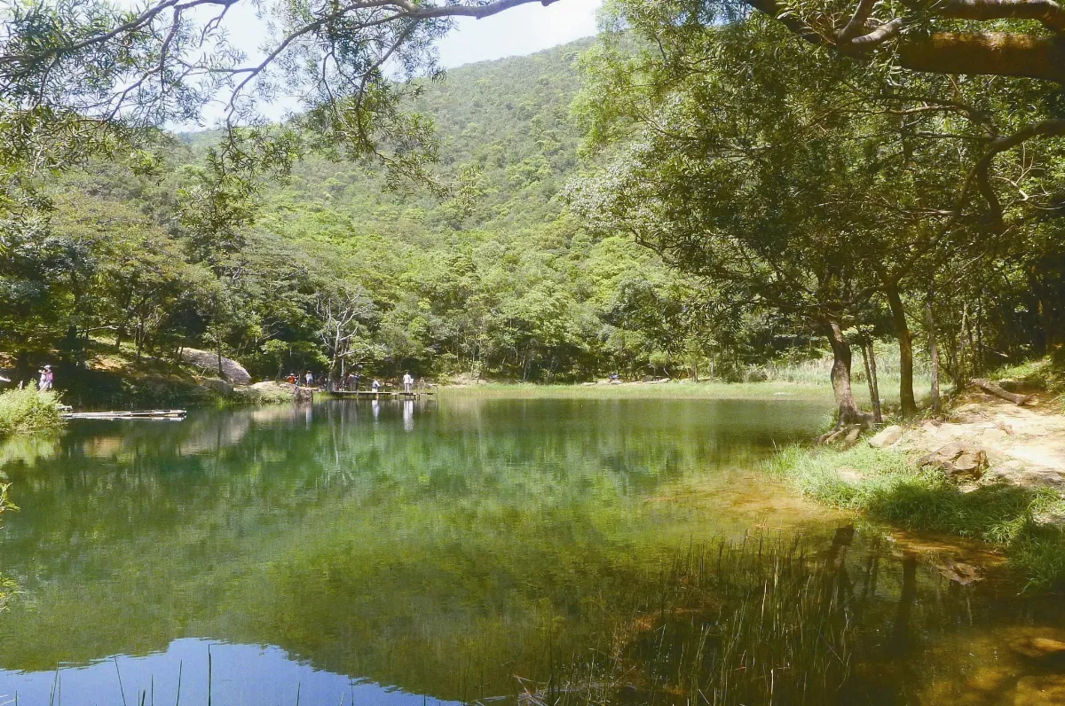 精選書摘 發現白色奇岩翠綠寶石—新山．夢湖