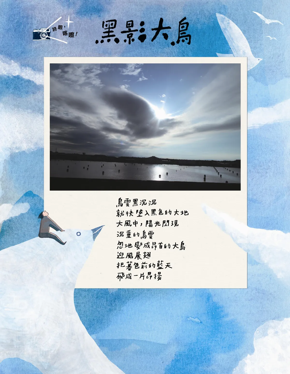 黑影大鳥